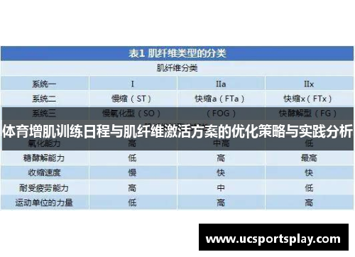 体育增肌训练日程与肌纤维激活方案的优化策略与实践分析