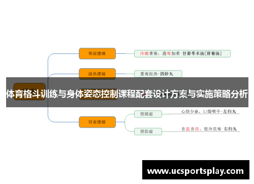 体育格斗训练与身体姿态控制课程配套设计方案与实施策略分析